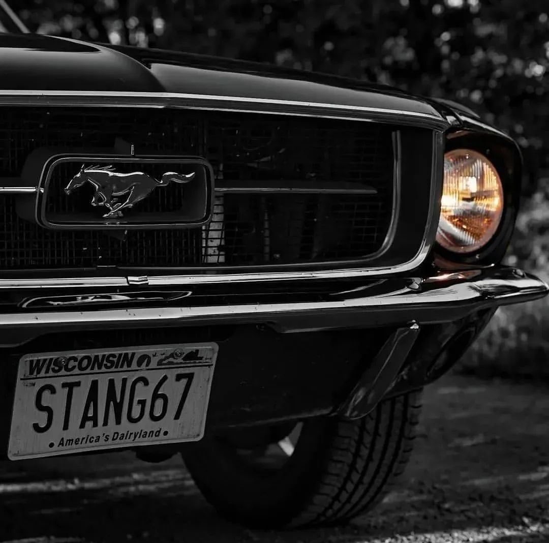 Ford Mustang 🖤