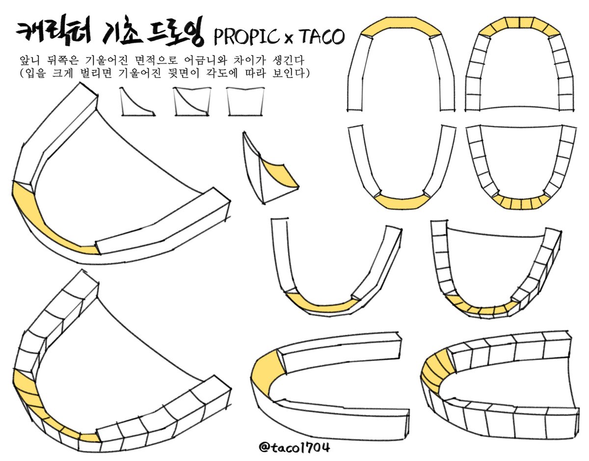 앞니 뒤쪽은 기울어진 면적으로 어금니와 차이가 생긴다 (입을 크게 벌리면 각도에 따라 기울어진 뒷면이 보인다)