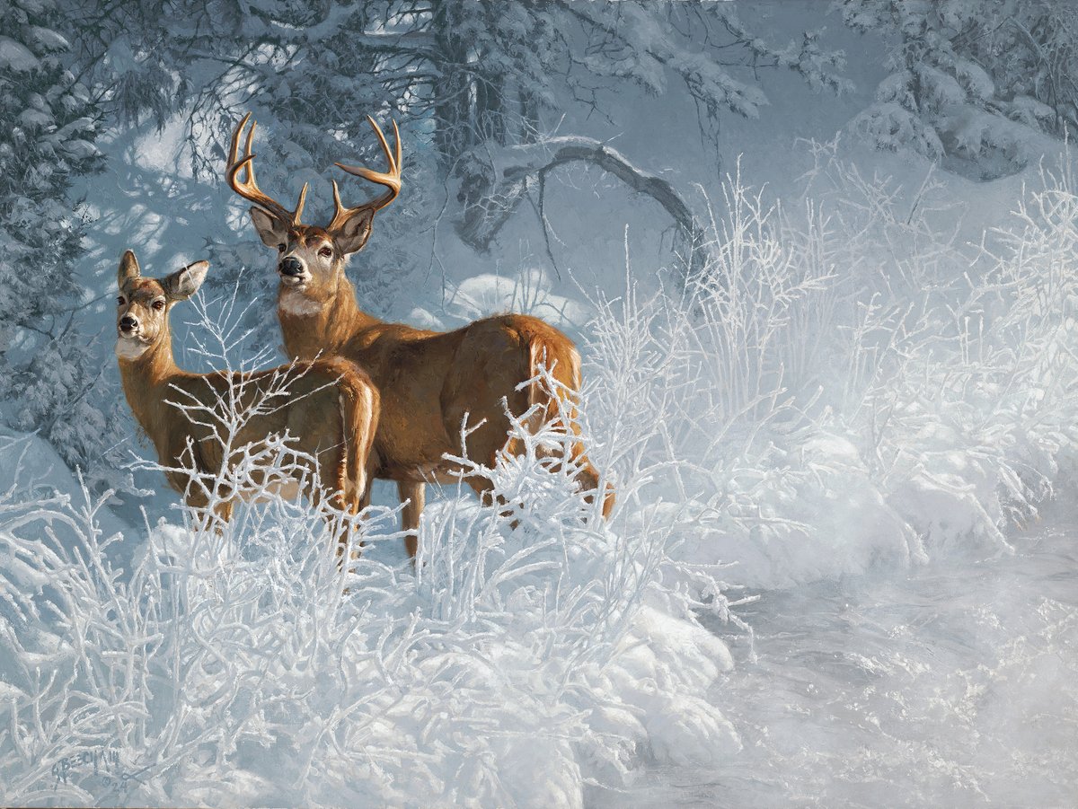 New Painting!
'Whitetails and Warm Springs' - 30'x40' - oil on linen
Prix de West 2024 @ncwhm