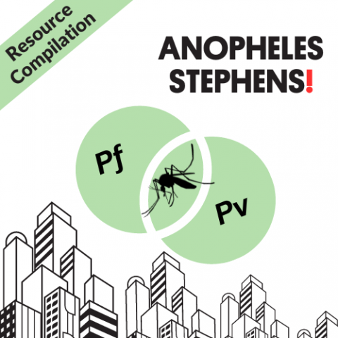 🦟'Responding to the threat of Anopheles stephensi invasion' gathers essential tools and guidance for containment and surveillance of this invasive malaria vector. Dive into the MESA resource collection or bookmark for later 👇 ow.ly/rSKy50QA8uz