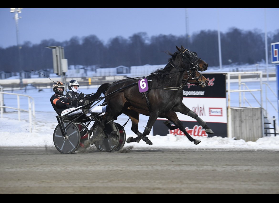 Mycket skön seger med Adthemission igår👊🏼🥇