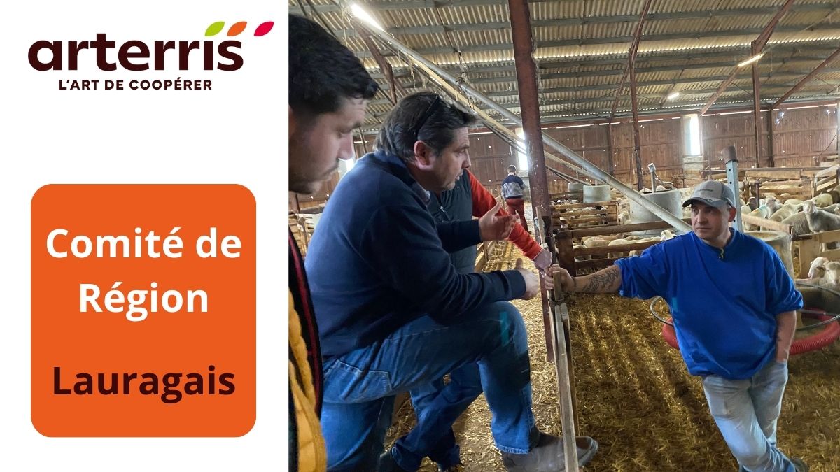 Merci M. Serin GAEC Glaudis pour l'accueil à Lavaur du #ComitéDeRégion Lauragais d’@Arterris. Plus de collectif, plus de transversalité partagée entre les adhérents, les métiers et les territoires d’@Arterris11.
<a href="/lacoopagricole/">La Coopération Agricole</a> <a href="/la_viande_fr/">la-Viande</a> <a href="/Interbev_Oc/">Interbev Occitanie</a> <a href="/Inn_Ovin/">Inn'Ovin</a>  <a href="/EleveursOvins/">FNO</a>