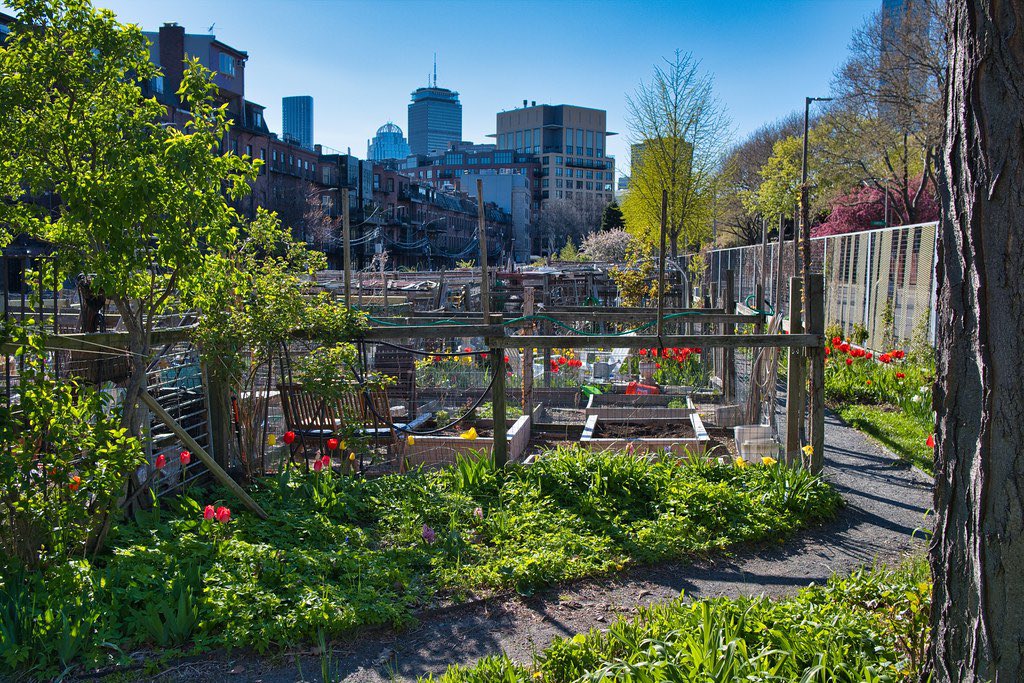 For #BlackHistoryMonth check out Mel King Square in the #SouthEnd.
In 74’, King created a law to protect the rights of people to use vacant public land for farming and gardening. This led to the establishment of some of the first #communitygardens in #Boston.