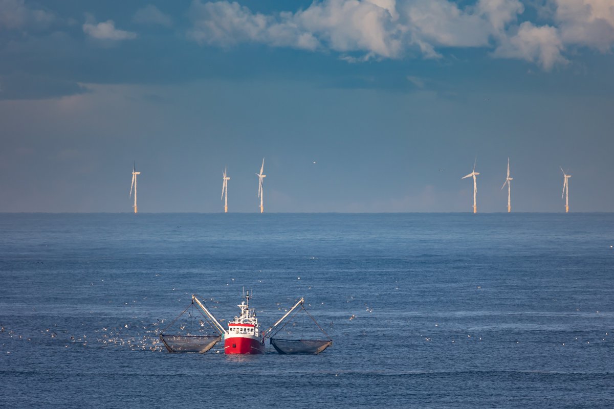 Après 2,5 années de travail, un bilan de la contribution du Shom dans le projet 🇪🇺 de #planification de l'#EspaceMaritime @eMSPproject 🗺🌊 et quelques perspectives ... 👀 A lire sur shom.fr/fr #MSP #PEM