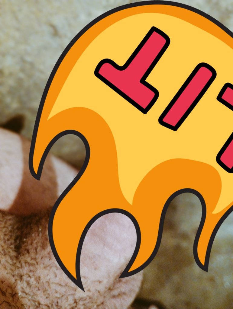 #DM #Disponible #CCS
🍆🔥😈