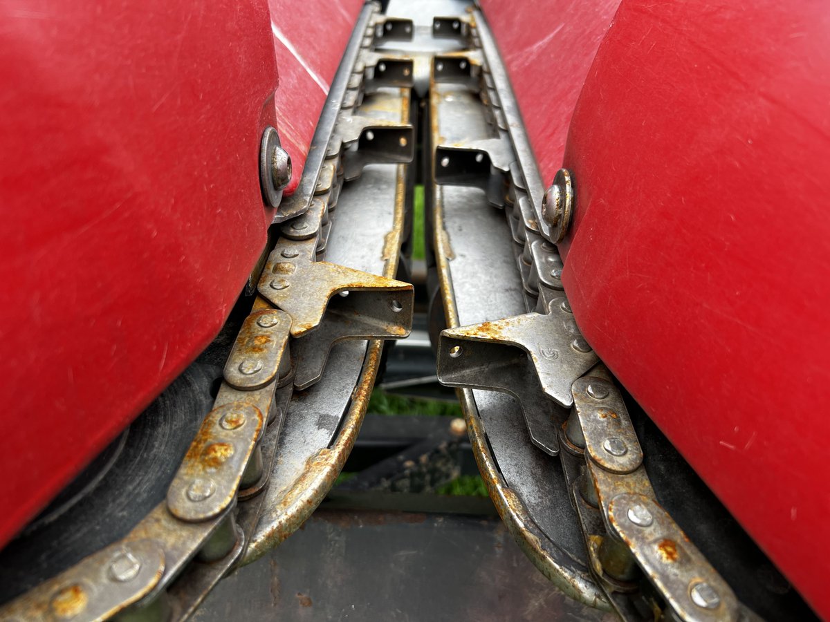 Shay Foulk tweet media