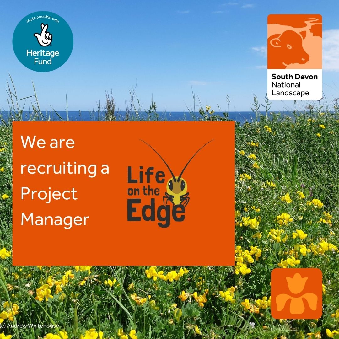 Fabulous opportunity. The successful candidate will lead this multi-partner @HeritageFundUK project Team that aims to restore viable populations of some of the UK’s rarest invertebrates and plants along the coast of S Devon. Further info: ce0750li.webitrent.com/ce0750li_webre…