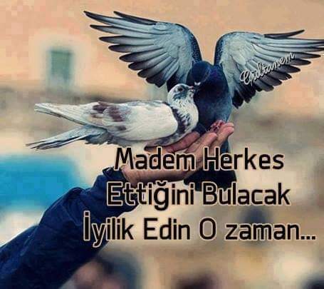 Ferhat Topal (@erdemlinsan) on Twitter photo 