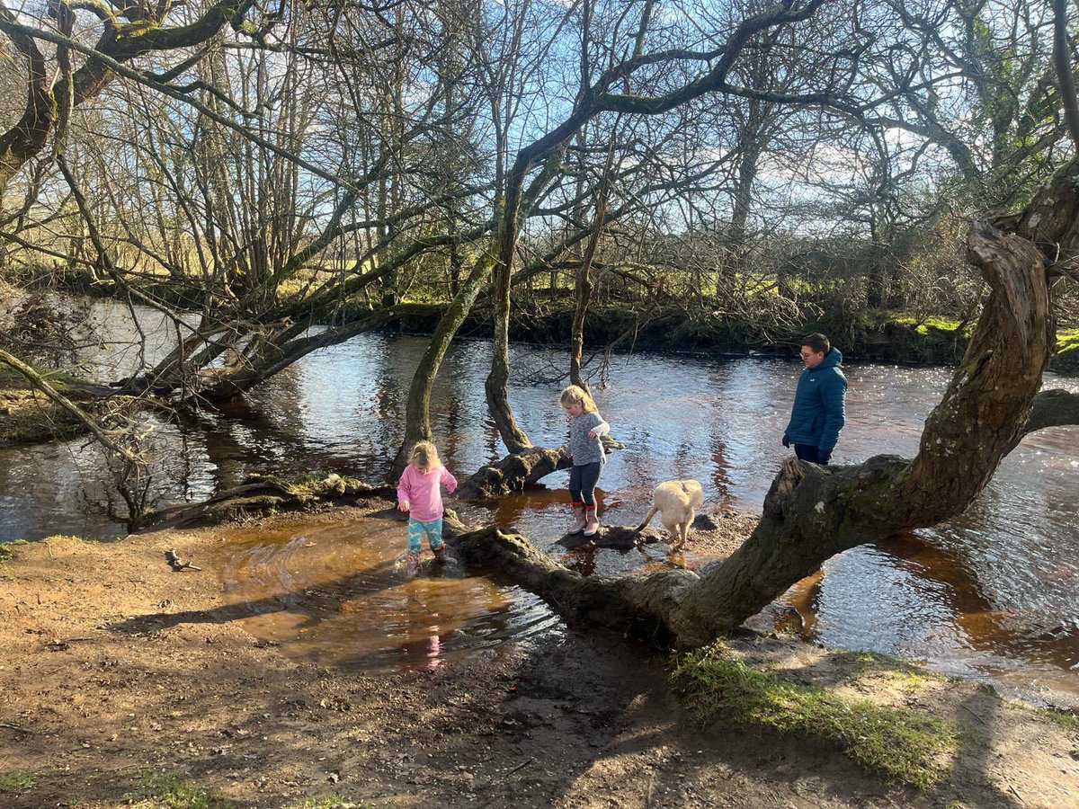 Chris Bull tweet media