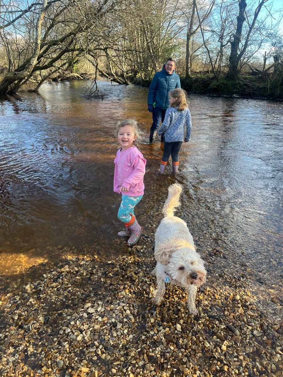 Chris Bull tweet media