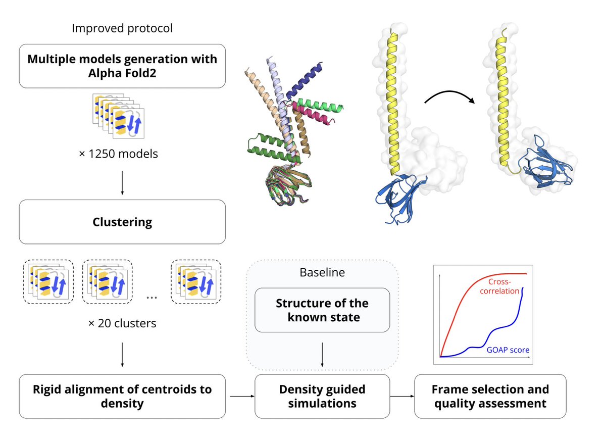 Hi #BPS2024! Excited to share my latest research with a poster B528 "Accurate protein fitting into cryo-EM maps using multiple conformers generated by AlphaFold2". I can't present it myself due to visa issues, but a huge thank you to <a href="/nandan_haloi/">Nandan Haloi</a> for stepping in! 😃