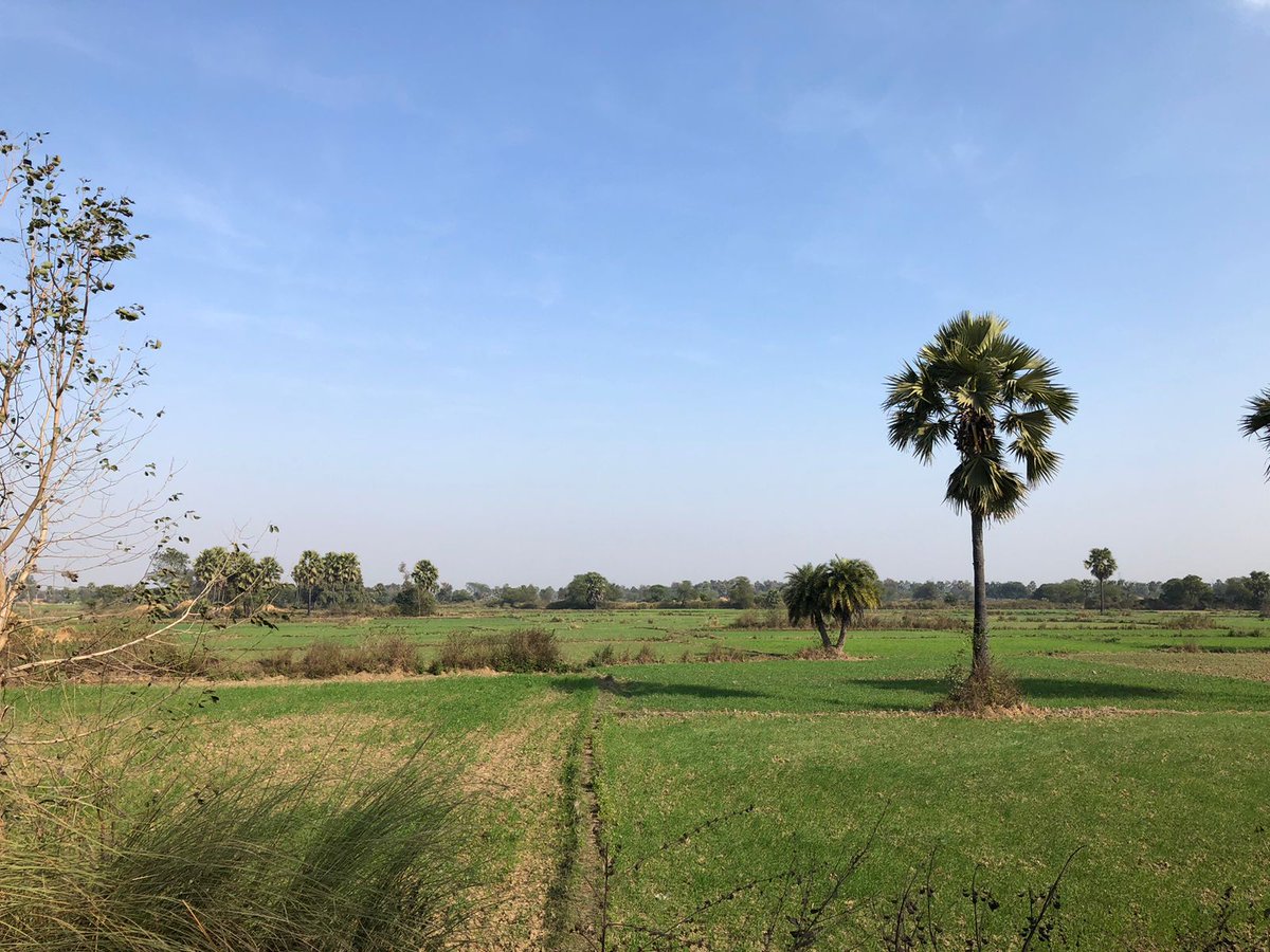 Mrsinha's tweet photo. They grow grains.
We manufacture various items.

They don't give away grains for free.
We don't give away our items for free.

They don't pay taxes.
We pay taxes.

We don't use their money.
They receive subsidies using our money.

And if only the opinion of "farmers" matters, I too own agricultural lands 👇in Bihar.. Call me an "Anndata" too.....
