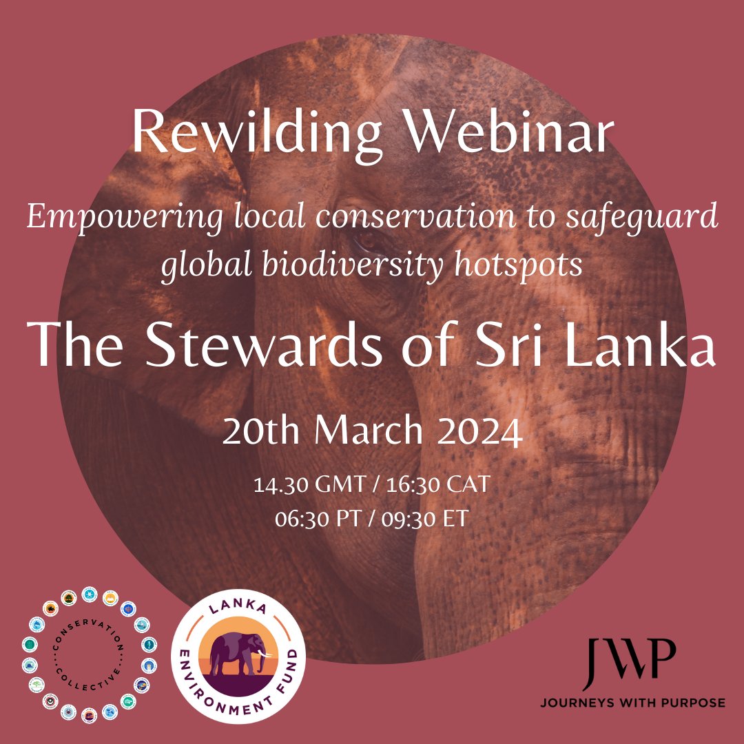 Engage in the discussion of how to scale local #conservation initiatives to safeguard biodiversity in Sri Lanka 🇱🇰

Hosted by @_cc_network Director Ben Goldsmith and Director of @lankaenvirofund Vinod Malwatte #webinar

Free Registration (limited spaces): 
zoom.us/webinar/regist…