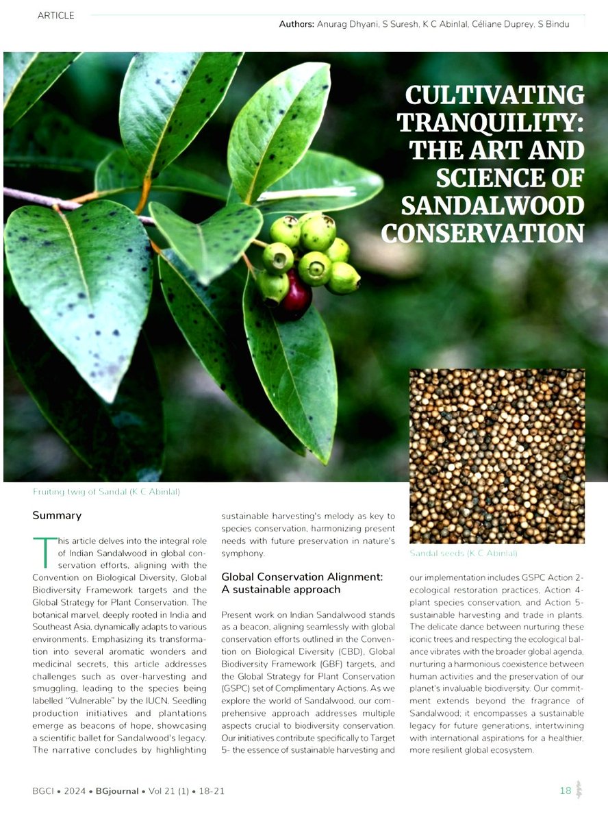 🌿  Glad to share my latest article in BGJournal on Indian Sandalwood and its crucial role in global conservation efforts! 🌎✨ Let's harmonize present needs with future preservation in nature's symphony. Check it out! #SandalwoodConservation #BGJournal #GlobalBiodiversity 📚🌳