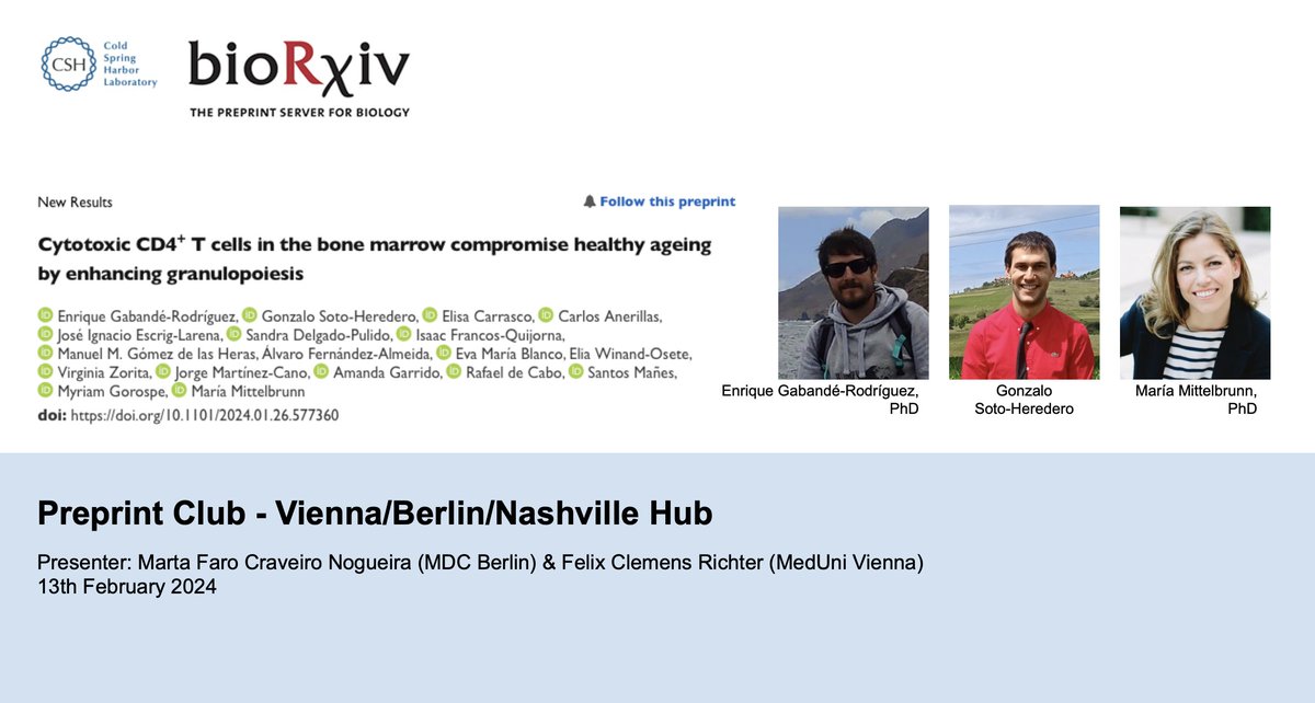 Excited for tomorrow's @preprintclub! Marta (@MDC_Berlin) and I (@MedUni_Wien) will present to and discuss with the @preprintclub community a study from @MMittelbrunn and @enriquegab & @gsotoheredero @CSIC on the ability of CD4+ CTLs to drive #myeloidpoiesis during #aging. ⭐️🔬