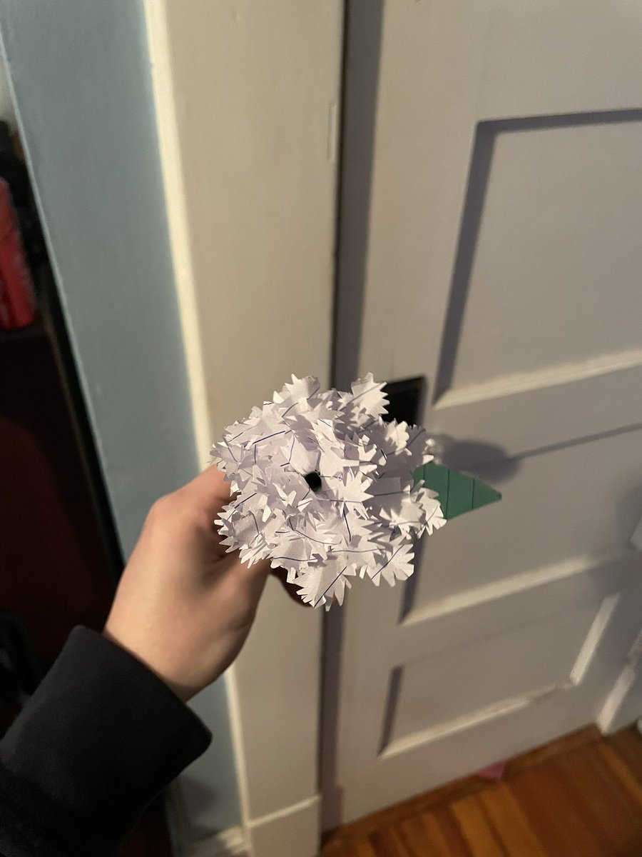 levi 🪸 tweet media