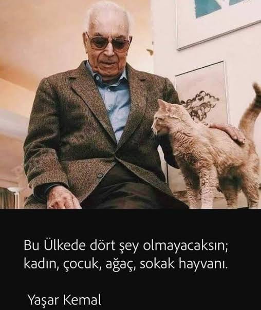 Aynı acıyı yaşaman dileğiyle #ibrahimkeloğlantutuklansın