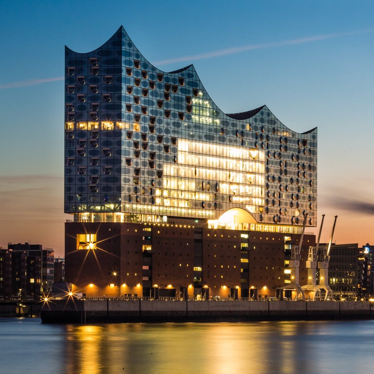 0xIllustratorIgi tweet media