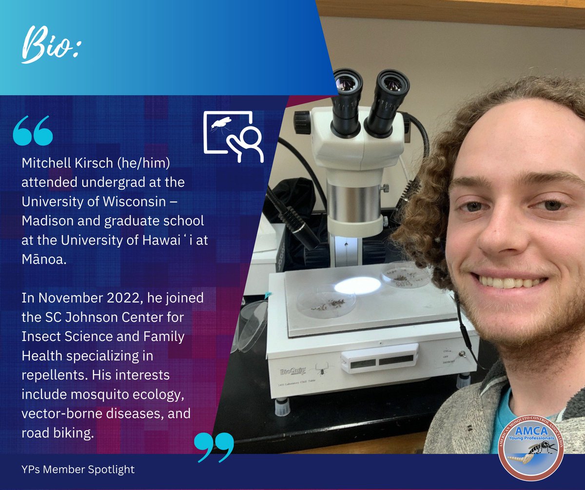 AMCA Young Pros 🦟 tweet media