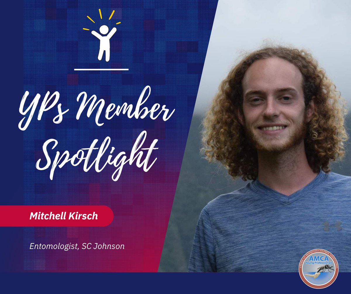 AMCA Young Pros 🦟 tweet media