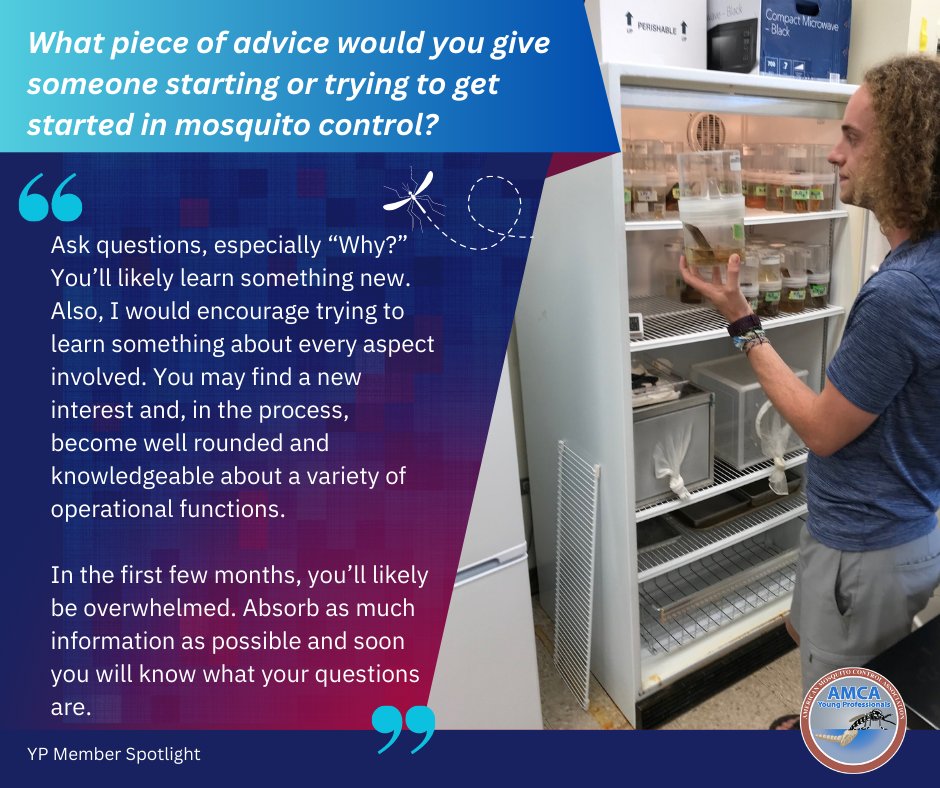 AMCA Young Pros 🦟 tweet media