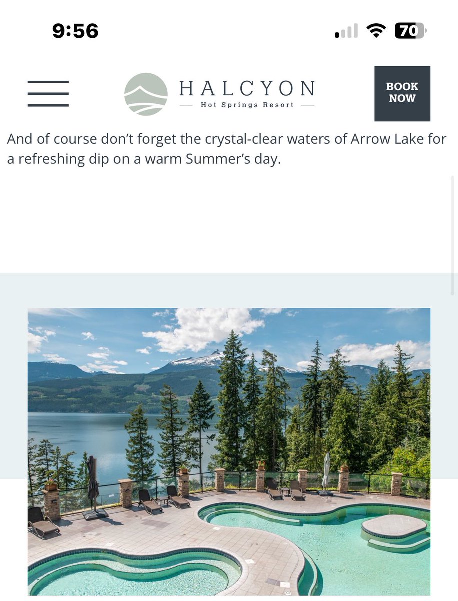 Steph 🇨🇦🌿💨 tweet media