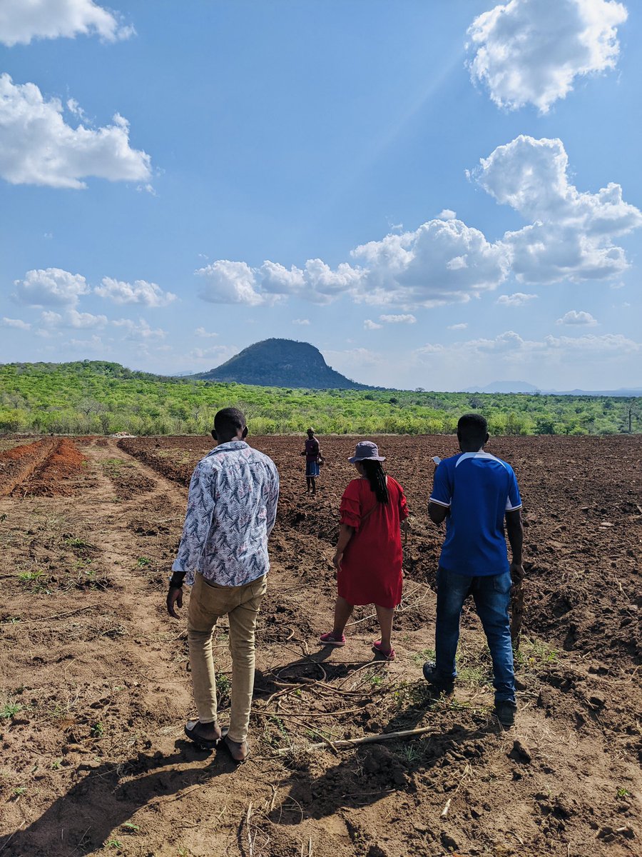 Beno Lyimo tweet media