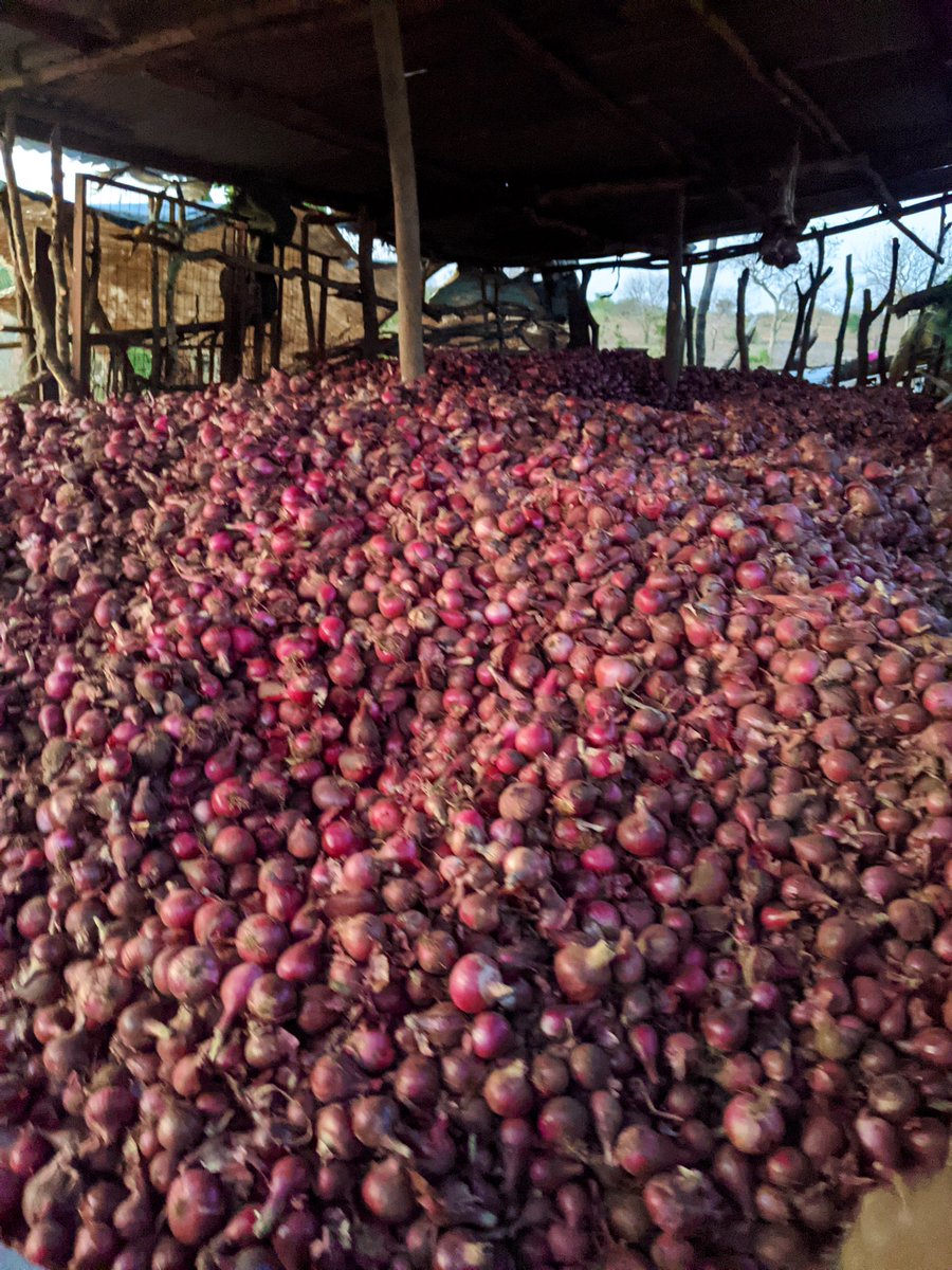 Beno Lyimo tweet media