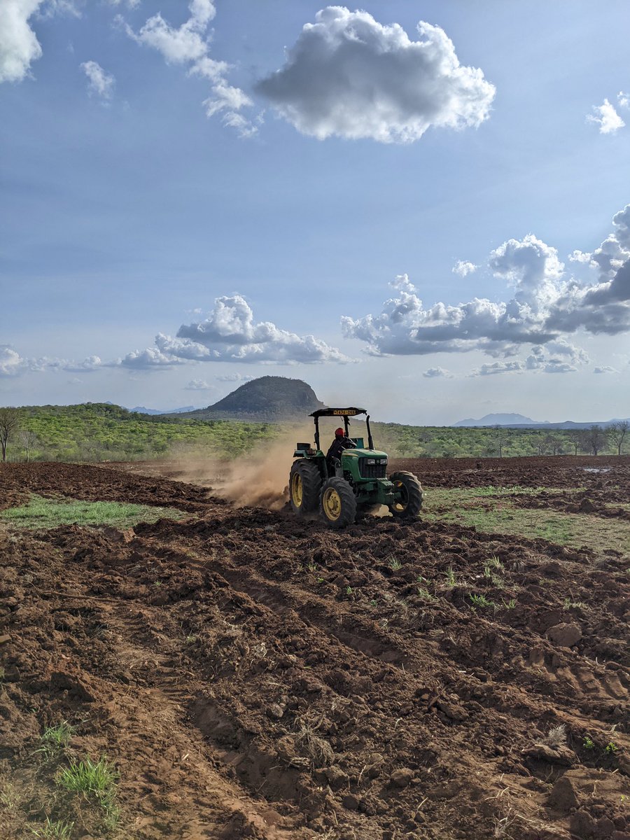 Beno Lyimo tweet media