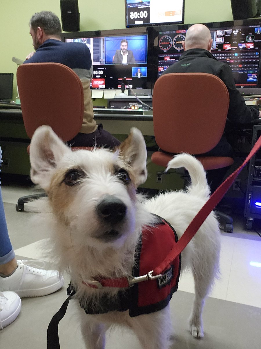 HaileyTrealout's tweet photo. Supervising the #JRNC506 @The_MediaPlex live! https://t.co/x2h9bD9qOt