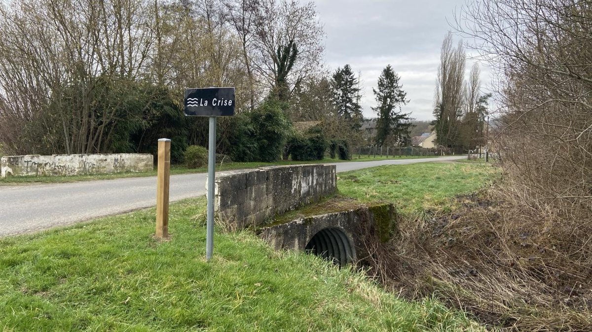 Sud #Aisne : un chasseur condamné pour avoir tué son chien au fusil aisnenouvelle.fr/id493263/artic…