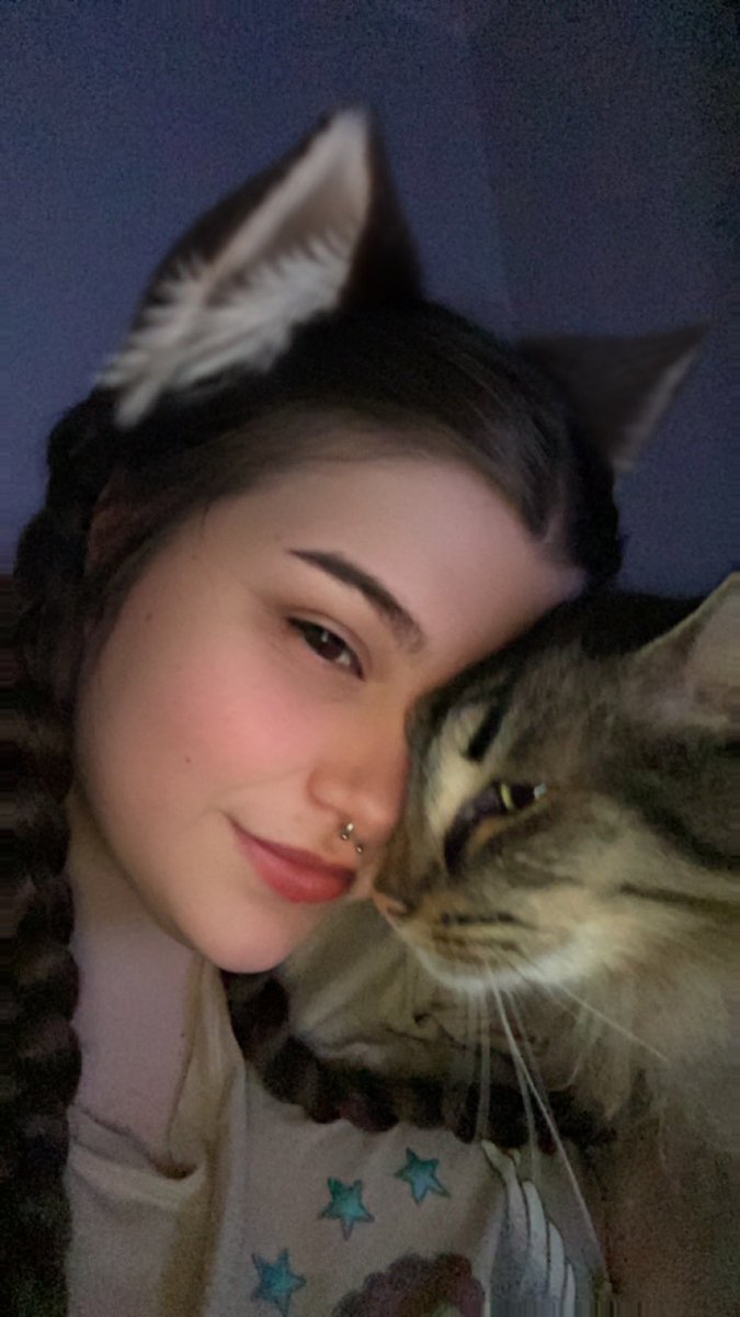 DcmbrKiss's tweet photo. I will be live here today playing some Hogwarts Legacy and maybe some cheeky Valorant gameplay! Follow me for a notification when I go live 💛 I’m live every single day with some cozy vibes 💛 https://t.co/UFjvirTmU5 https://t.co/3MB9C4ysIK