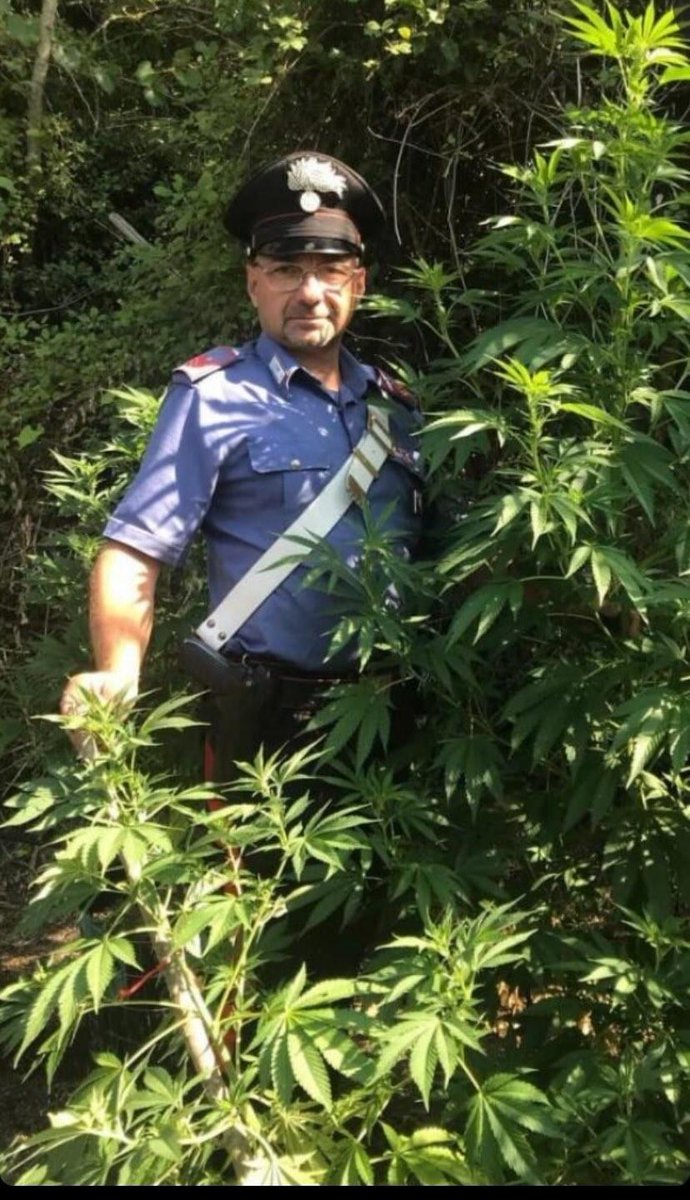 mxrcolo's tweet image. niente da dire