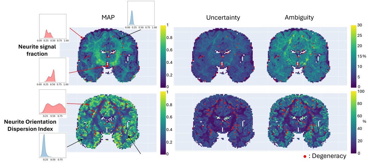 JallaisMaeliss's tweet image. 🔍 Dive into your MRI data with more confidence! 🧠 Introducing µGUIDE – our new analysis tool for estimating any model parameters and their degeneracy and uncertainty. @MarcoPalombo3 @CUBRICcardiff @microCUBRIC @CompScienceCU @CardiffVisComp
Preprint: arxiv.org/abs/2312.17293