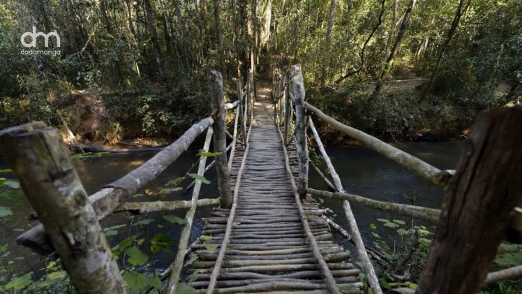 dadamanga's tweet photo. Andasibe is undeniably one of Madagascar's must-visit tourist destinations, renowned for its famous babakotos or indri indri. #Andasibe #Madagascar #Tourism #Babakoto #IndriIndri https://t.co/OQPPlrLiZ5