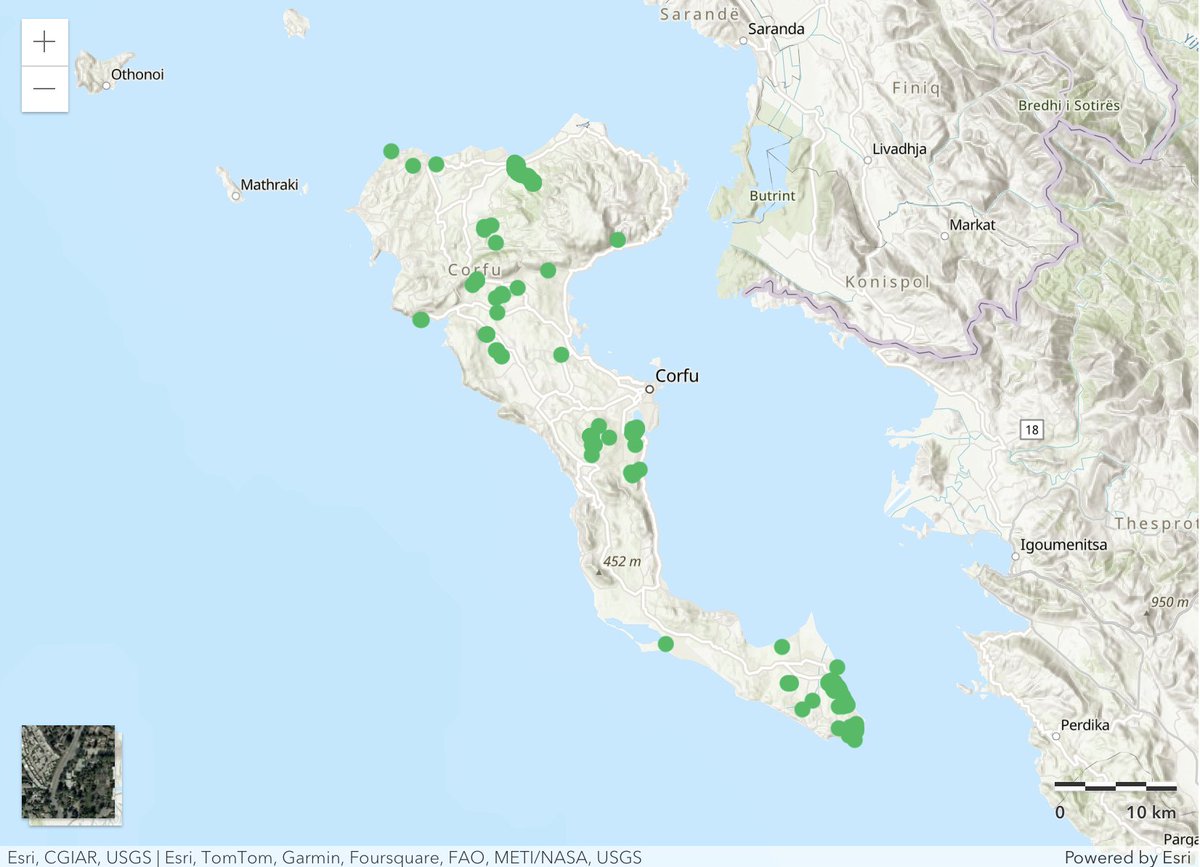 Corfu Butterfly Conservation tweet media