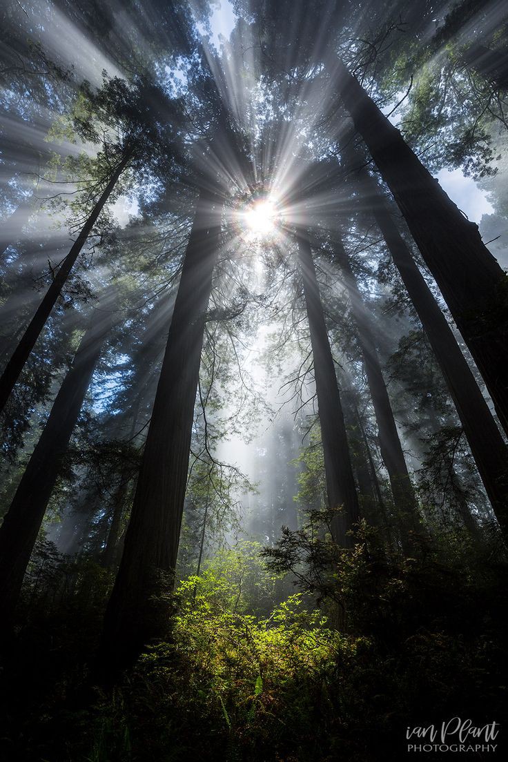 #1DDrive🌕

<a href="/TahneeQueen/">👑QUEEN OF QUEENS👑 🇲🇽🇺🇸👑</a>
<a href="/lumpie125/">lumpie125</a>
<a href="/Luisa1E/">Luisa Elena 🌹Luisa🌷</a>
<a href="/BrettMGWV2/">Brett</a>
<a href="/DianeElQueen/">🌹Diane🌹</a>
<a href="/Tangerine4545/">Follow help 🍾🍾🍾🍾</a>
<a href="/Tanzila420/">Tanzila 130k 😜</a>
<a href="/ginestarros/">SuperGina♥️💚♥️</a>
<a href="/IreneVarMex/">𝕚𝕣𝕖𝕟𝕖 🜲</a>
<a href="/eReferenceDesk/">#eReferenceDesk☞ Joe</a>
<a href="/Saori__M/">ღƪ(ˆ◡ˆ)ʃ♡ℳДƦîƝ இ️ ♡</a>
<a href="/Team_1DDrive/">Tina👑</a>
<a href="/sami86pilang/">🇮🇩🐯𝐋𝐞𝐚𝐝𝐞𝐫'𝐬🐯🇮🇩</a>
<a href="/QueenTahnee/">Queen</a>
<a href="/TrnVnHi00234815/">Trần Văn Hới</a>
<a href="/JIMENAC__/">🌸JimenaC__🌸</a>
<a href="/SINGHASINGH/">Ή.Ƨ SINGHA.</a>
<a href="/ajanssyistanbul/">ajanssy</a>
<a href="/andreawan_/">andre</a>
<a href="/how378_/">how378_</a>
<a href="/tnmuda/">Tn Muda</a>