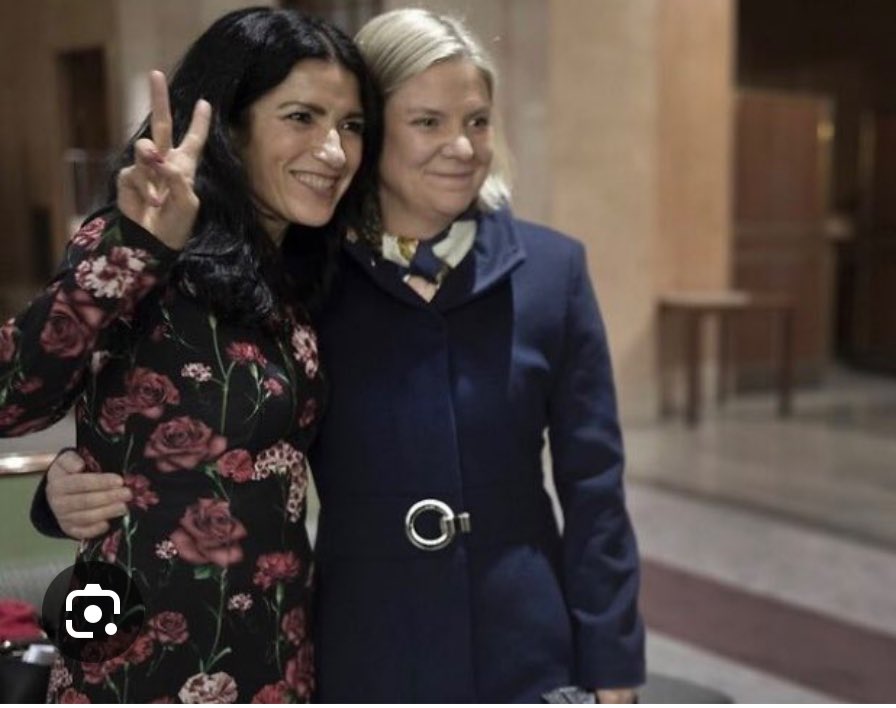 Nu är sossarna jättearga över att en politisk vilde blir kvar i riksdagen. Samma sossar för några år sedan efter uppgörelse med annan vilde: