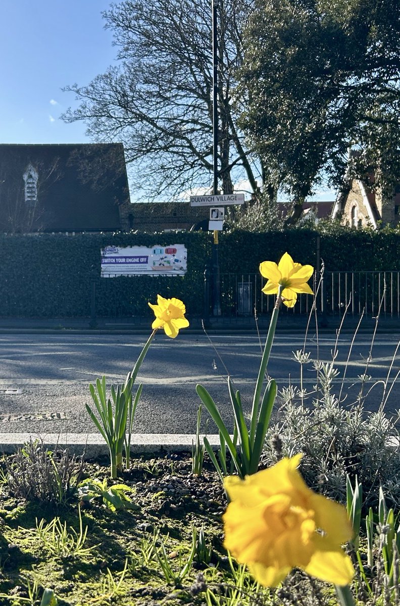 The Dulwich Society tweet media