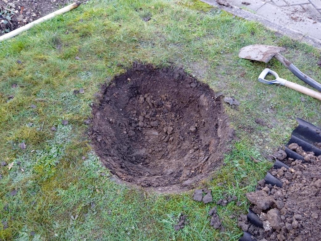 TreeServiceHull tweet picture
