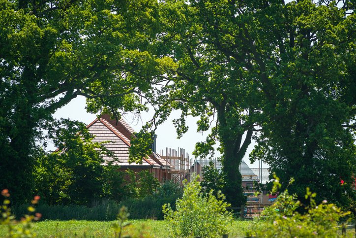 From today, Biodiversity Net Gain (BNG) has become mandatory in England, meaning that development sites must deliver at least a 10% increase in biodiversity. This approach aims to leave biodiversity in a measurably better state than before, by creating new habitats and improving