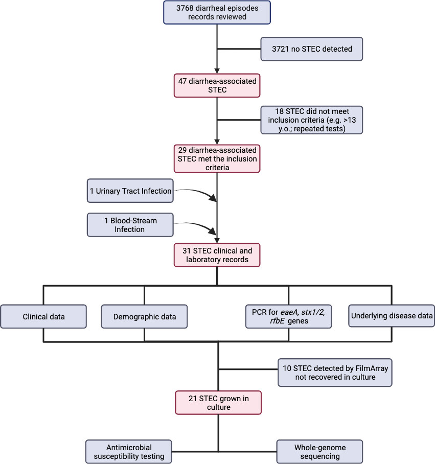 JournalSpectrum's tweet image. First insights to non-O157:H7 serotypes circulating in Central America. Genomic surveillance for STEC infections in children in a low-incidence country unveiled a predominant prevalence of serotype O118/O152:H2. @Crispeco78 journals.asm.org/doi/10.1128/sp…