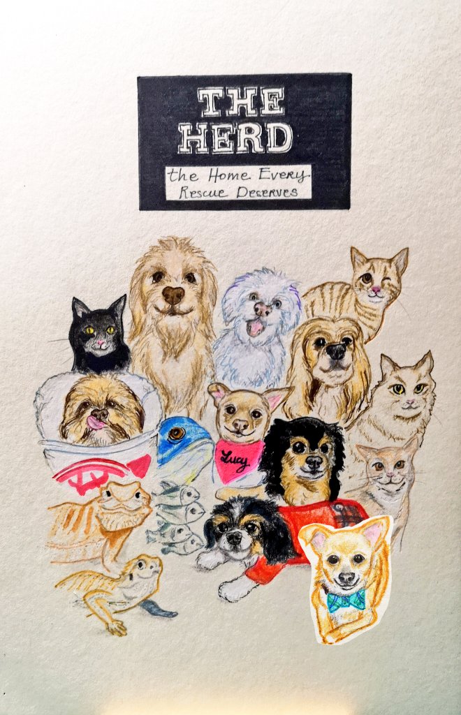bouncebckbelle's tweet photo. To celebrate his furever home, here is the promised tiny Pedro Pascal drawing that can be appended to the original The Herd family illustration! ๐
I think Pedro will fit in nicely next to Butterscotch Creampie. ๐
#MarjDrawsDogs #MarjDrawsPets https://t.co/aNVeituSIc