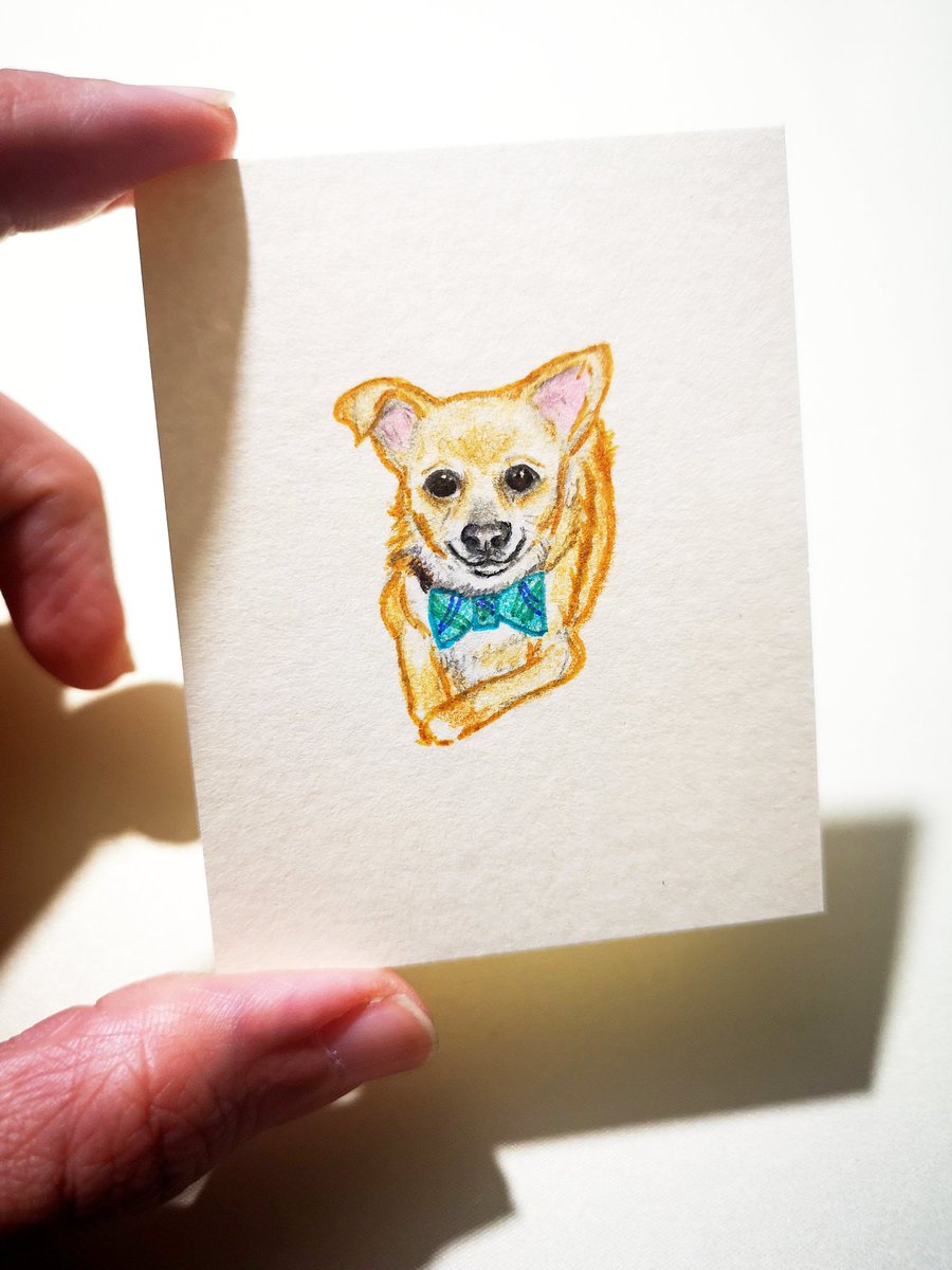 bouncebckbelle's tweet photo. To celebrate his furever home, here is the promised tiny Pedro Pascal drawing that can be appended to the original The Herd family illustration! ๐
I think Pedro will fit in nicely next to Butterscotch Creampie. ๐
#MarjDrawsDogs #MarjDrawsPets https://t.co/aNVeituSIc