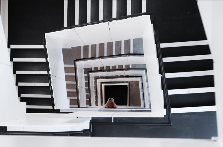 ¿Se pueden convertir elementos comunes de una comunidad en elementos privativos? 🏢➡ afisecan.com/convertir-elem… vía <a href="/Afisecan/">AFISECAN</a> 

#AAFF #AFColegiados #AdministradoresdeFincas