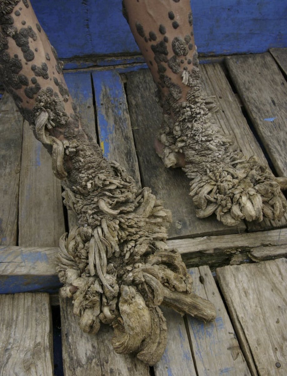 Morbid Knowledge tweet media