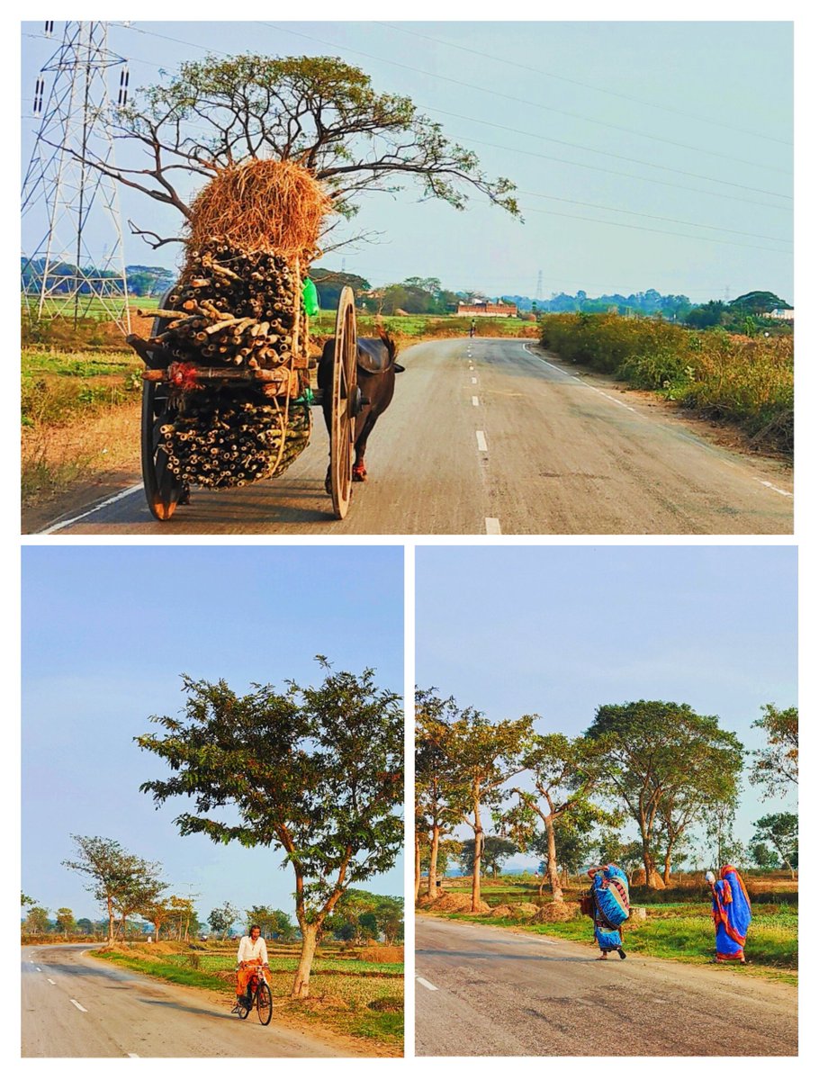 jnpankaj's tweet photo. Life is slow but beautiful.
Countryside Odisha. https://t.co/TTvqTCxtvp