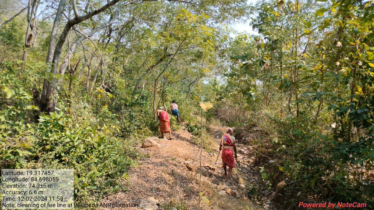 Creation of fire line works at various sites in Berhampur Forest Division @ForestDeptt @pccfodisha @PCCFWL_Odisha @RBerhampur