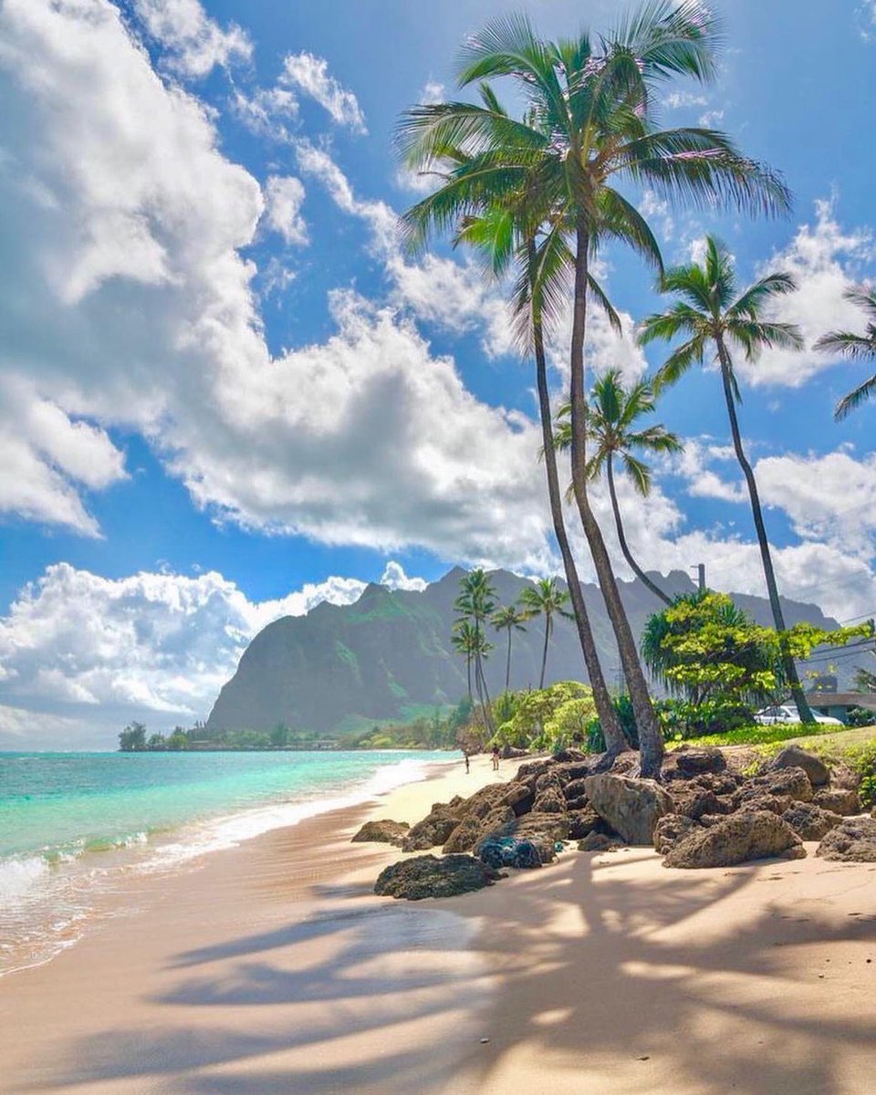 Beach in Hawaii.