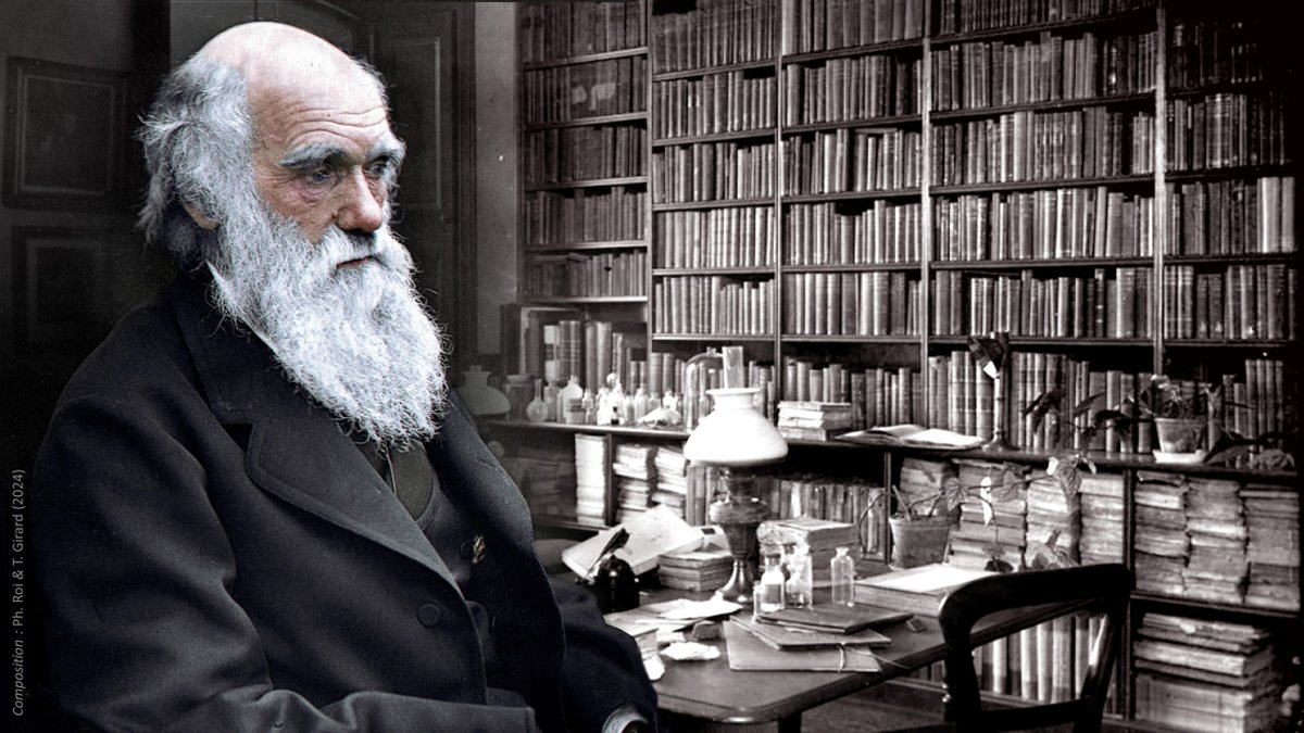 7559pr's tweet image. La bibliothèque complète de #CharlesDarwin vient d&apos;être dévoilée pour la première fois. À l’occasion, ce jour, du 215e anniversaire de la naissance de #CharlesDarwin, le catalogue de sa #bibliothèque a été mis en ligne. C’est une source majeure d&apos;information pour comprendre un…